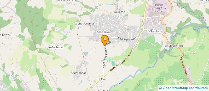 localisation de l'entreprise MONSIEUR YOHAN BRAUT  MESSIMY