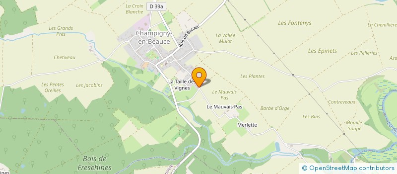 localisation de l'entreprise MONSIEUR YOHAN FOULON  CHAMPIGNY-EN-BEAUCE