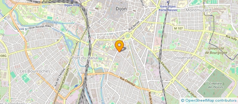 localisation de l'entreprise MONSIEUR YOHAN JOUET  DIJON