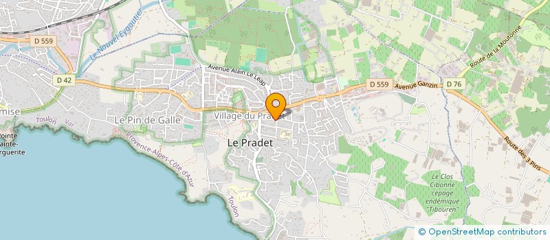 localisation de l'entreprise MONSIEUR YOHANN CHEDOT à LE PRADET