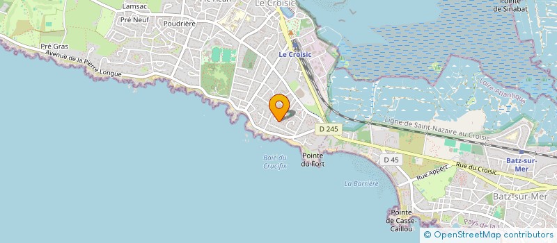 localisation de l'entreprise MONSIEUR YOHANN DELAHAYE  LE CROISIC