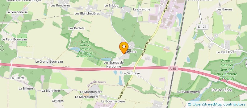 localisation de l'entreprise MONSIEUR YOHANN GUESNAND  JOUE-LES-TOURS