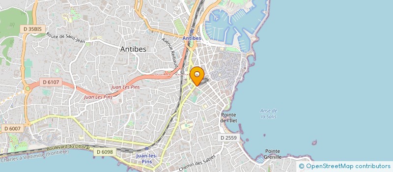 localisation de l'entreprise MONSIEUR YONEL CERUTO GONZALEZ à ANTIBES