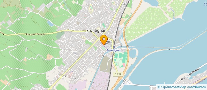 localisation de l'entreprise MONSIEUR YONGKUI WANG à FRONTIGNAN