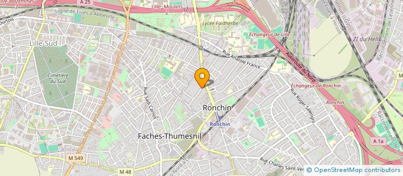 localisation de l'entreprise MONSIEUR YORICK PEDERSEN  RONCHIN