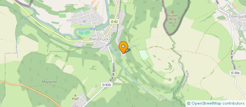 localisation de l'entreprise MONSIEUR YORICK SELZAM  BLIESBRUCK