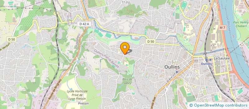 localisation de l'entreprise MONSIEUR YOUCEF DRIS  OULLINS-PIERRE-BENITE