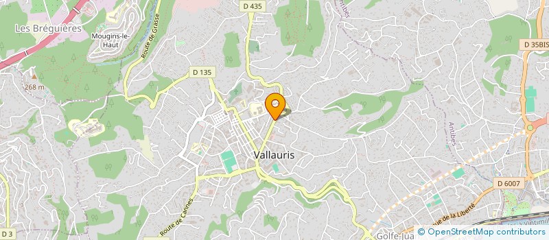 localisation de l'entreprise MONSIEUR YOUNES CHERKAOUI à VALLAURIS