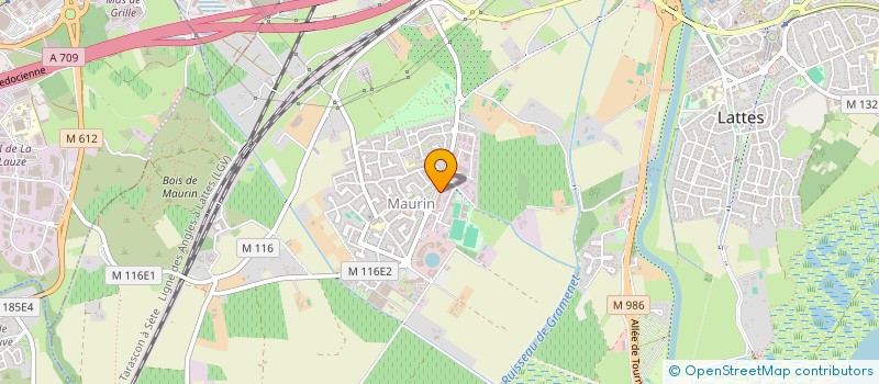 localisation de l'entreprise MONSIEUR YOUNES EL MENYIY à LATTES