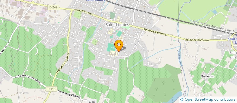 localisation de l'entreprise MONSIEUR YOUNES RAFAA  SAINT-LOUBES