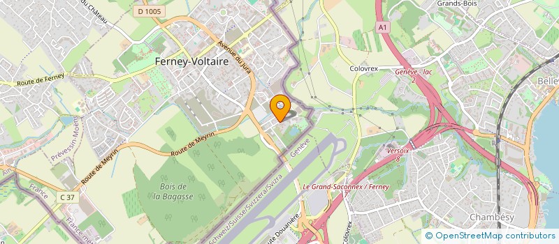 localisation de l'entreprise MONSIEUR YOUNESSE ZITOUNI à FERNEY-VOLTAIRE