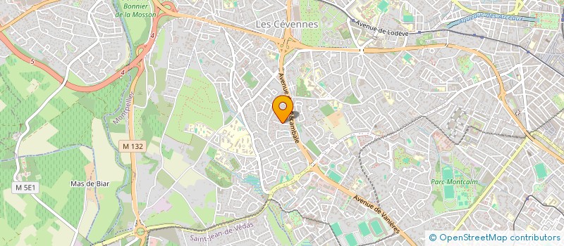 localisation de l'entreprise MONSIEUR YOUSFI SOPHIANE à MONTPELLIER