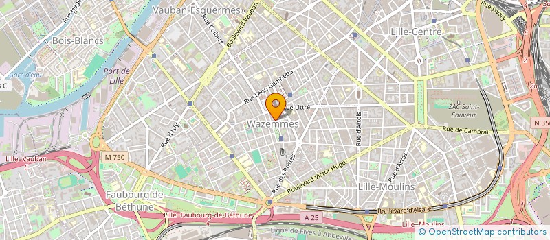 localisation de l'entreprise MONSIEUR YOUSSEF FARISS à LILLE