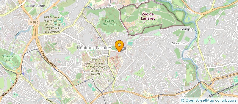localisation de l'entreprise MONSIEUR YOUSSEF NAMLA à MONTPELLIER