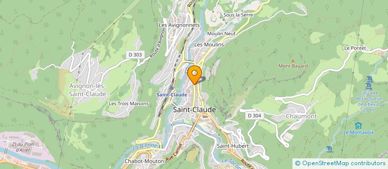 localisation de l'entreprise MONSIEUR YUSUF EROL  SAINT-CLAUDE