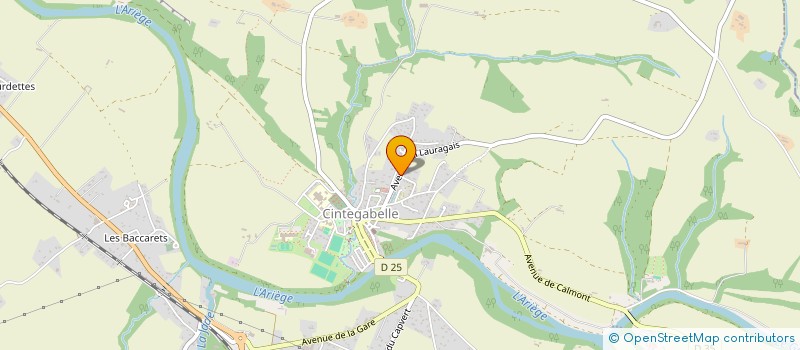 localisation de l'entreprise MONSIEUR YVAN BOSCH  CINTEGABELLE