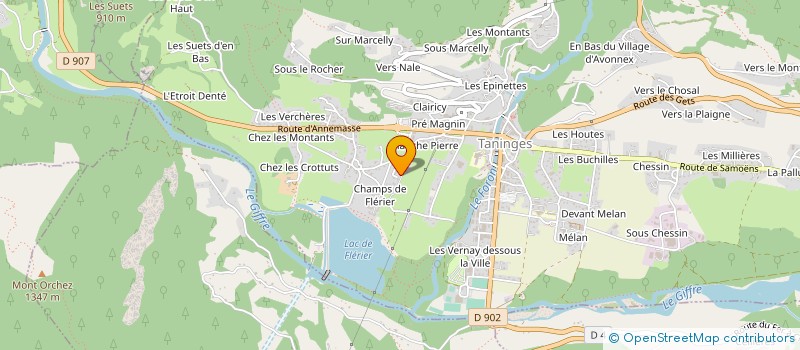 localisation de l'entreprise MONSIEUR YVES CAMBEFORT à TANINGES