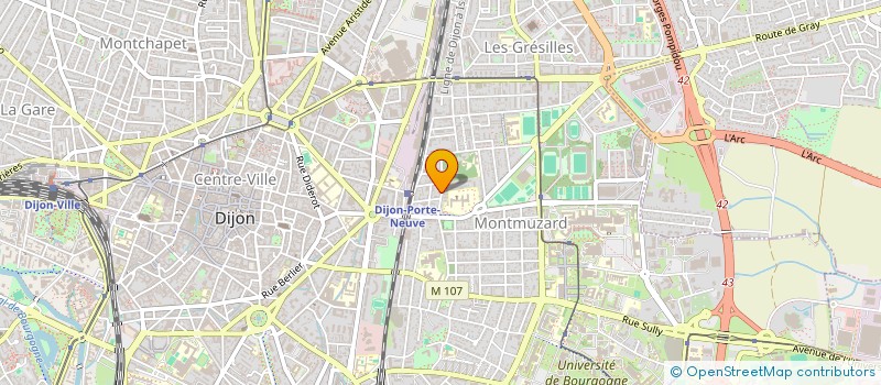 localisation de l'entreprise MONSIEUR YVES COTTIN à DIJON