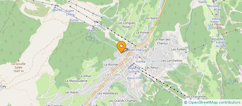 localisation de l'entreprise MONSIEUR YVES COUGOUILLE  LES GETS