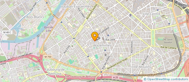 localisation de l'entreprise MONSIEUR YVES DEGREMONT à LILLE