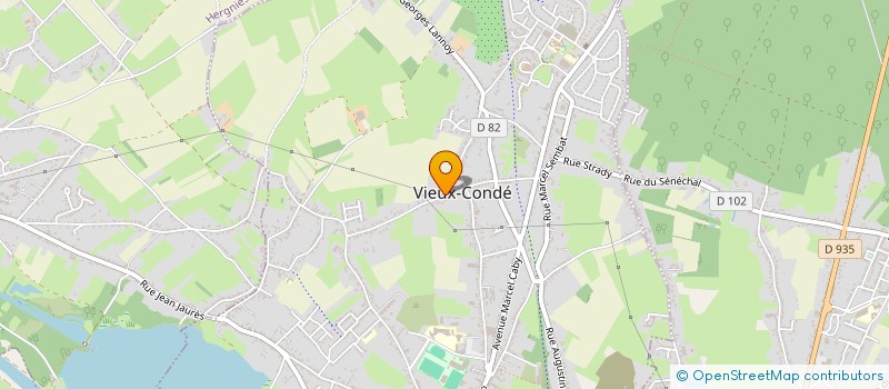 localisation de l'entreprise MONSIEUR YVES DENHAERYNCK  VIEUX-CONDE