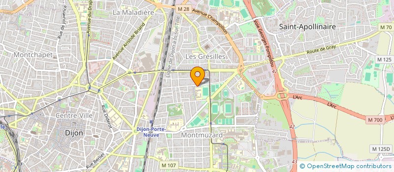 localisation de l'entreprise MONSIEUR YVES DUPONT à DIJON