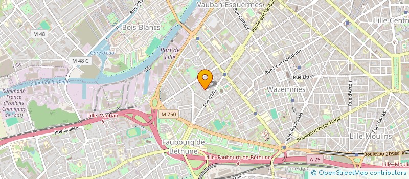 localisation de l'entreprise MONSIEUR YVES FRESSONNET  LILLE