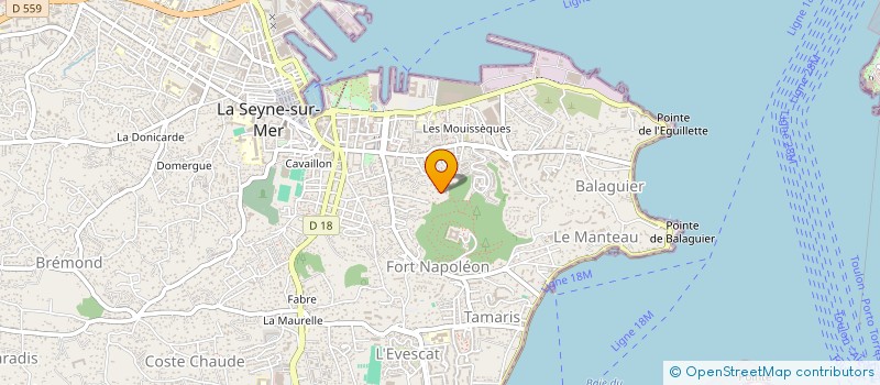 localisation de l'entreprise MONSIEUR YVES GABORIAUD à LA SEYNE-SUR-MER