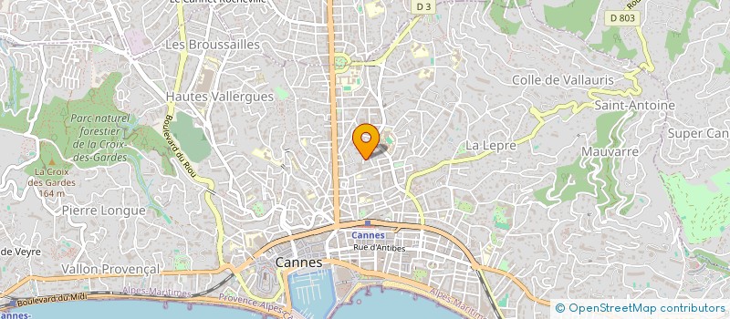 localisation de l'entreprise MONSIEUR YVES GRECO à CANNES