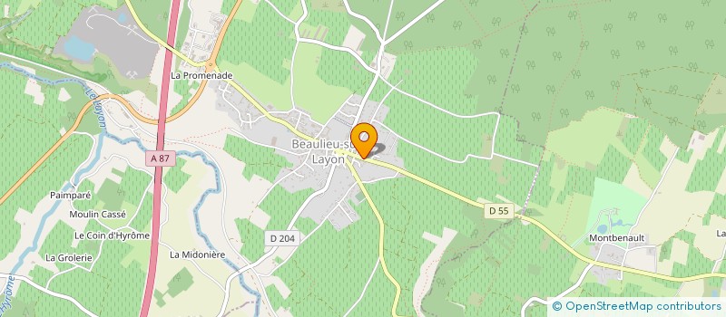 localisation de l'entreprise MONSIEUR YVES-JOSEPH TURLEAU  BEAULIEU-SUR-LAYON