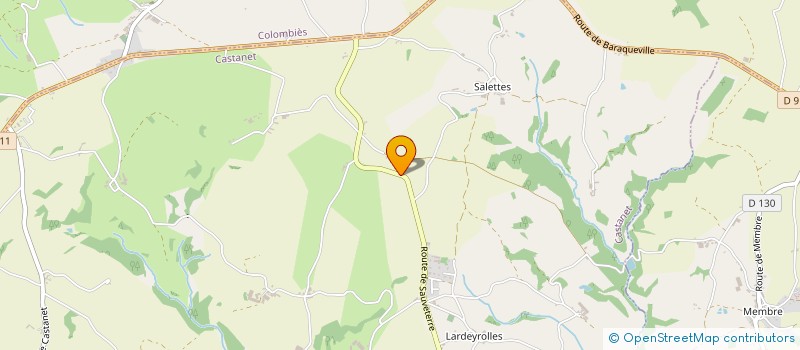 localisation de l'entreprise MONSIEUR YVES LALANDE  CASTANET