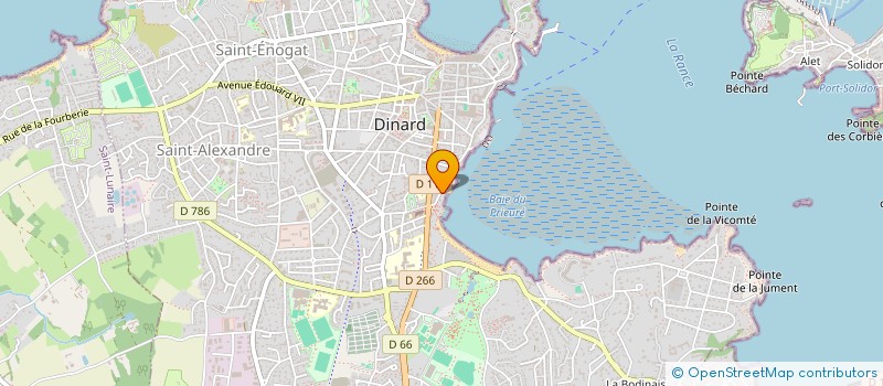 localisation de l'entreprise MONSIEUR YVES LOISANCE  DINARD