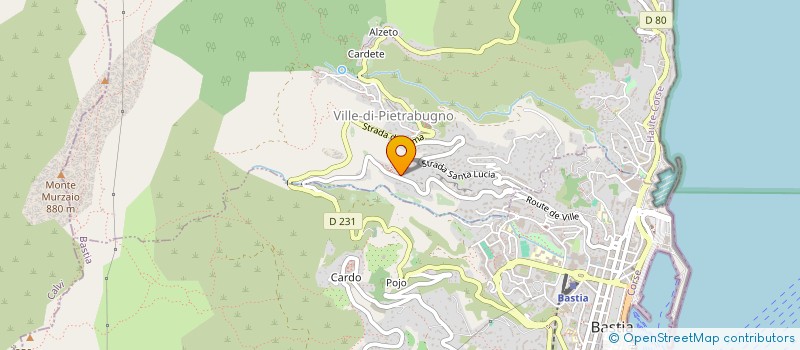 localisation de l'entreprise MONSIEUR YVES-MARC VINCENTI à VILLE-DI-PIETRABUGNO
