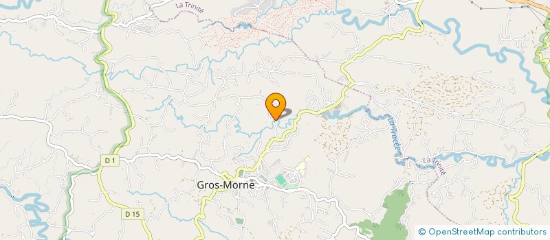 localisation de l'entreprise MONSIEUR YVES MARIANE  GROS-MORNE