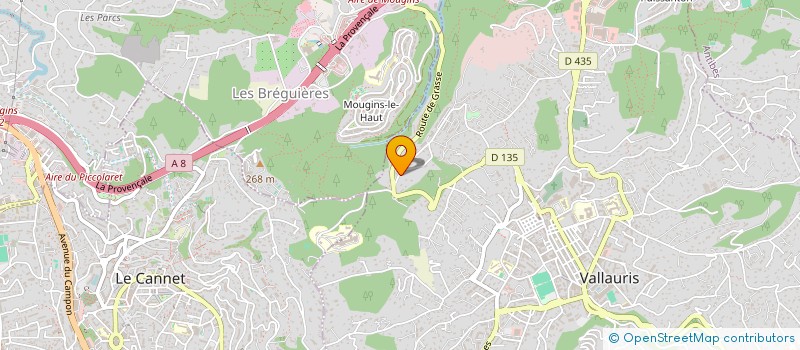 localisation de l'entreprise MONSIEUR YVES MICHEL  VALLAURIS