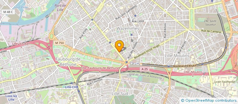 localisation de l'entreprise MONSIEUR YVES PETER  LILLE