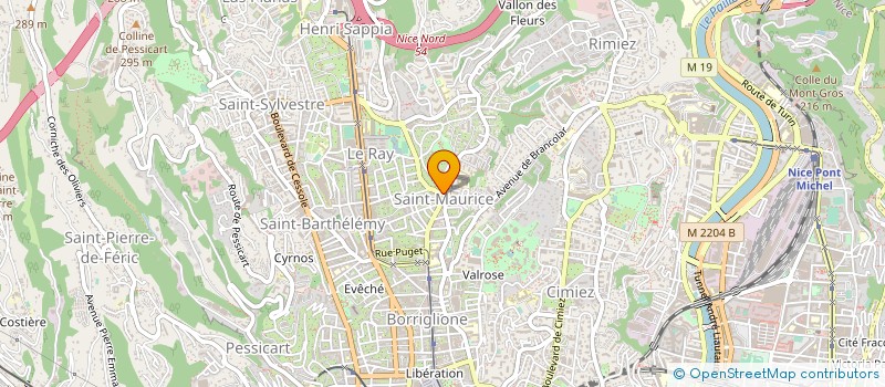 localisation de l'entreprise MONSIEUR YVES PIRANI à NICE