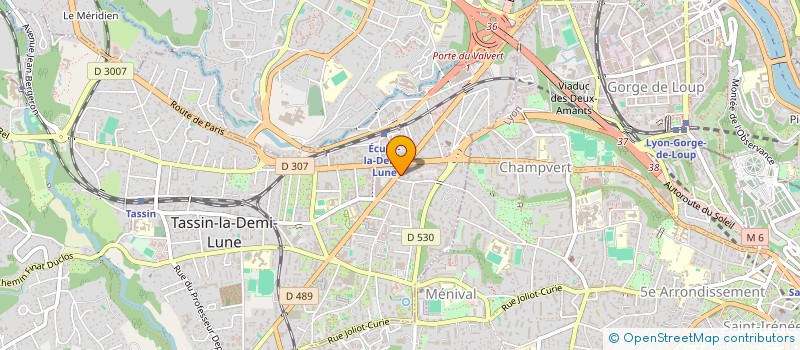 localisation de l'entreprise MONSIEUR YVES PONTIS  TASSIN-LA-DEMI-LUNE