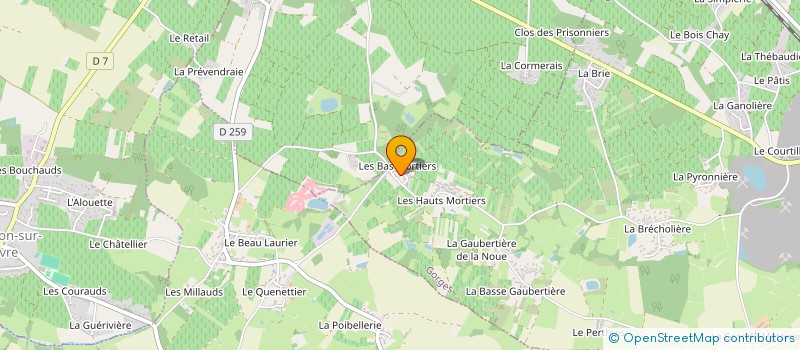 localisation de l'entreprise MONSIEUR YVES RACINEUX à GORGES