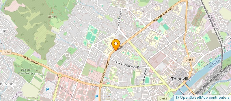 localisation de l'entreprise MONSIEUR YVES RAPIAU  THIONVILLE