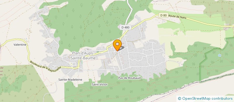 localisation de l'entreprise MONSIEUR YVES ROUBAUD à PLAN-D'AUPS-SAINTE-BAUME
