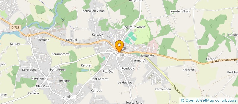 localisation de l'entreprise MONSIEUR YVES SELLIN  TREGUNC