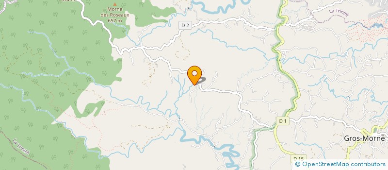 localisation de l'entreprise MONSIEUR YVES THODIARD  GROS-MORNE