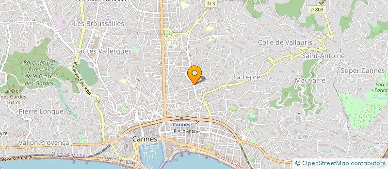 localisation de l'entreprise MONSIEUR YVES TROUILLER à CANNES