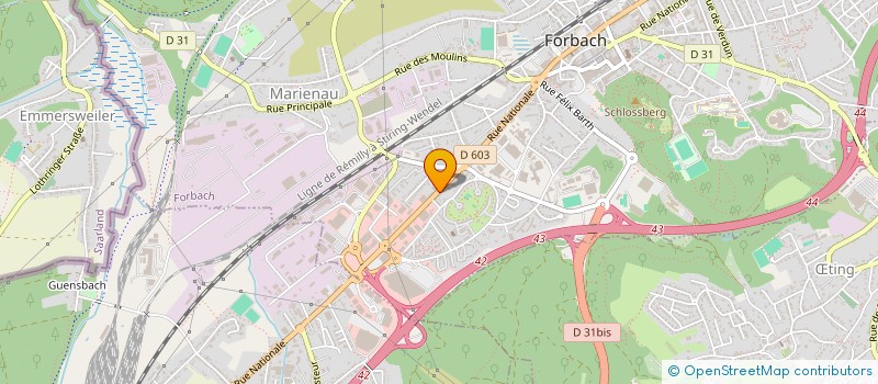 localisation de l'entreprise MONSIEUR ZAAL GEZGIC  FORBACH