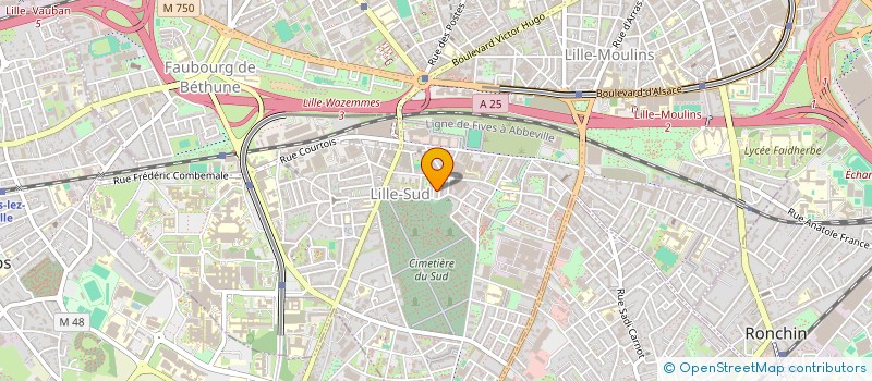 localisation de l'entreprise MONSIEUR ZABIHULLAH HAIDARY à LILLE