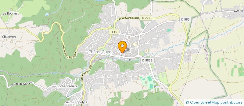 localisation de l'entreprise MONSIEUR ZAFER YALCIN à CHATEL-GUYON