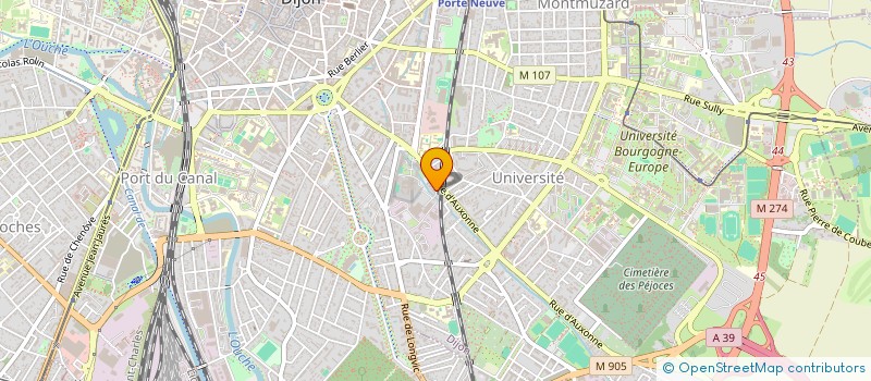 localisation de l'entreprise MONSIEUR ZAHIR UCUCU  DIJON