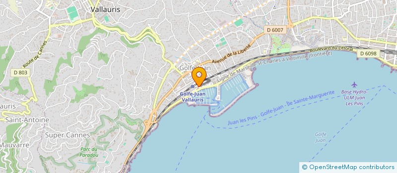 localisation de l'entreprise MONSIEUR ZDRAVKO PETROVIC  VALLAURIS