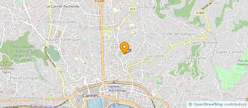 localisation de l'entreprise MONSIEUR ZELIMIR PEJOVIC à CANNES